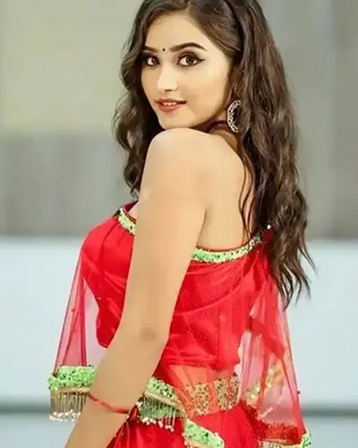 Escort In Vasantkunj